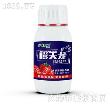 �����������-������-���Ɓ�