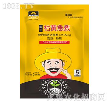 ������S����-����ɭ