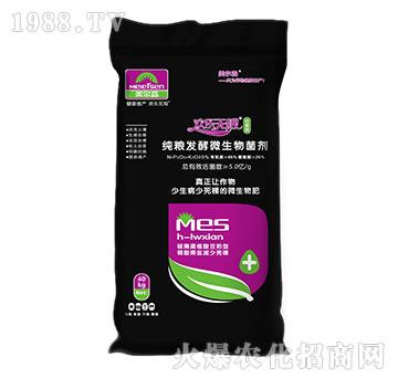 ���Z�l(f��)��΢�������-�g