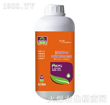 ��̼ø�ЙC�����-����