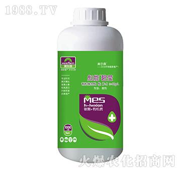 �ЙC�j���F-���ܱ̬�-����ɭ