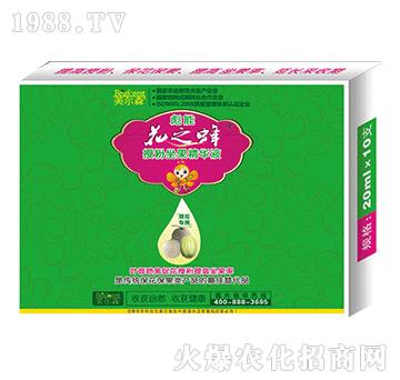 ��ό����ڷ��������AҺ