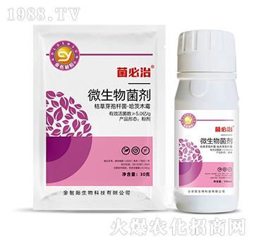 ΢�������-������-���