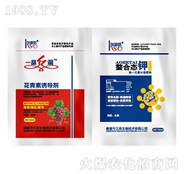 һƷ�t��(r��n)���������T��(d��o)����+���ϑB(t��i)�-�h˼����