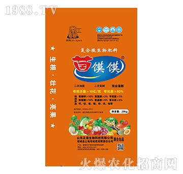 �ͺ�΢�������-���x�x-��������