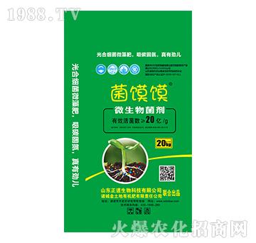 ΢�������-���x�x-��������