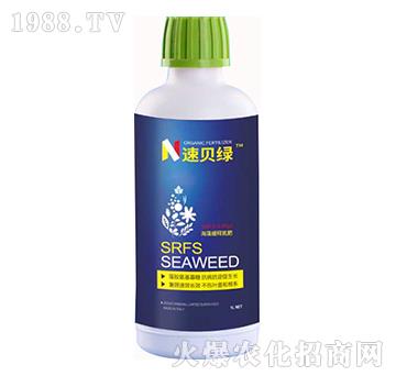 ���徏ጵ���-��ؐ�G-�A�˱���