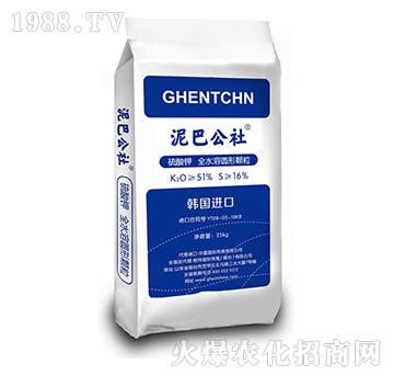 �w����������-��͹���-���؇�(gu��)�H