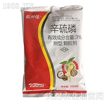 3%������-���ﱣ-̩�̻���