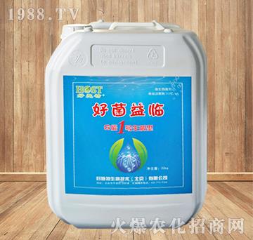 G��1̖������-�þ����R-��ʩ��