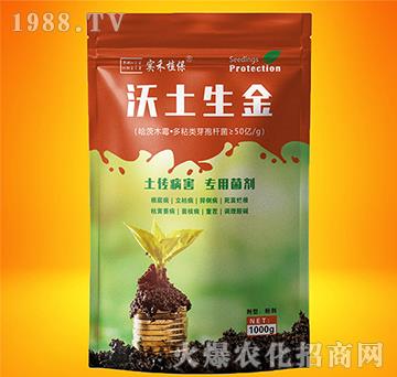 ��������-����