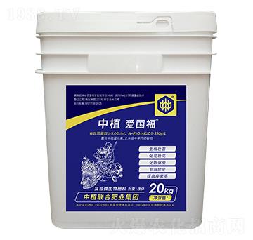 ��(f��)��΢�������-��ֲ�ۇ�(gu��)��-��ֲ(li��n)��