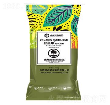 �����ޏ�(f��)������-�ʻʼ��ЙC(j��)����-��ֲ(li��n)��