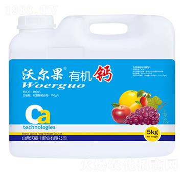 �֠����ЙC(j��)�}-�ּ��S�ʘI(y��)