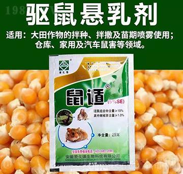 �(q��)��Ҹ���-���-��(��i)�������