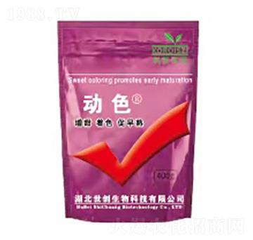 ��ɫ-����(chu��ng)����