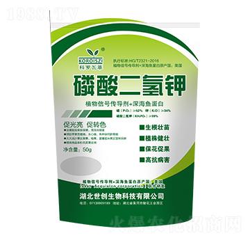 50g��������-���_����-����(chu��ng)����