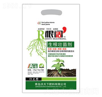 �������焩-���-����