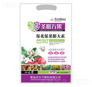 �������������-ʥ���f