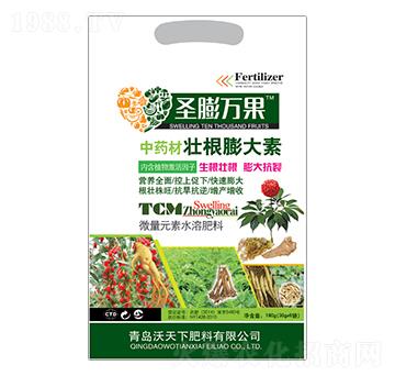 ��ˎ�ĉѸ������-ʥ��