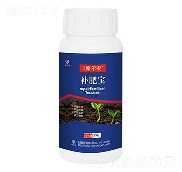 �a�ʌ�-Ħ����