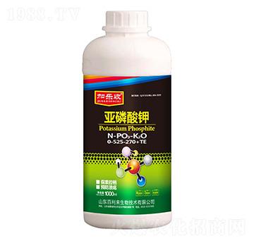 ƿ�b�������0-525-270+TE-�Ә���-������