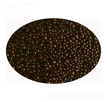 ΢������ʃr��-���S����