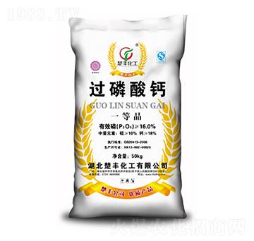 16%�^�����}-���S����