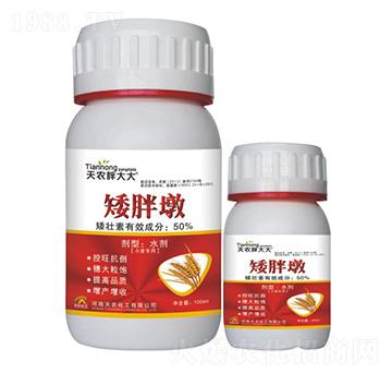 С������-���ֶ�-���r(n��ng)�ִ��-���r(n��ng)����