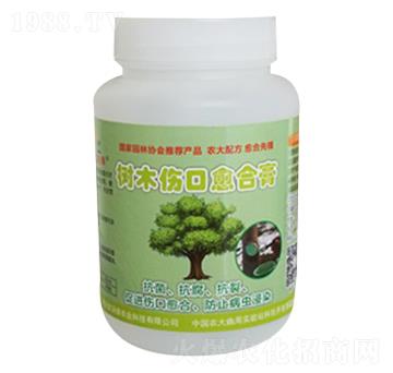 ��(sh��)ľ�������ϸ�-�r(n��ng)�־G