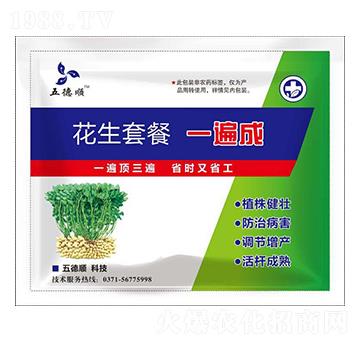 �����ײ�һ���-����