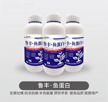 ���S���~����-���S��Դ��