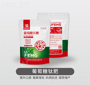 1000g������⁷�-���S��Դ��