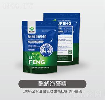 ø�⺣�徫-���S��Դ��