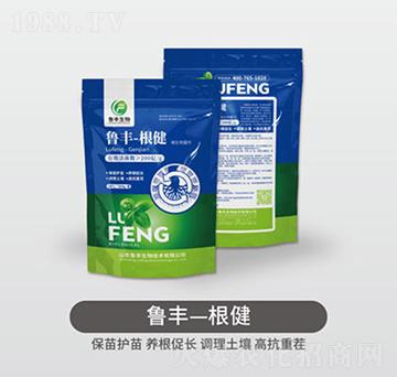 ���S����-���S��Դ��