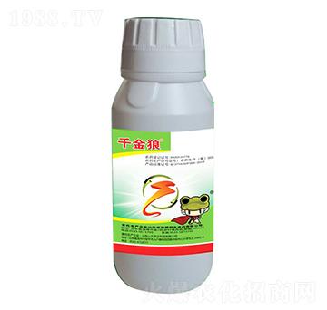 0.5%�װ������S���ر������}-ǧ����-�����rˎ