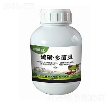 35%��Ƕ���`-�����_(d��)-�����r(n��ng)ˎ