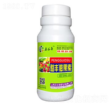 ���S�����-�S��Դ