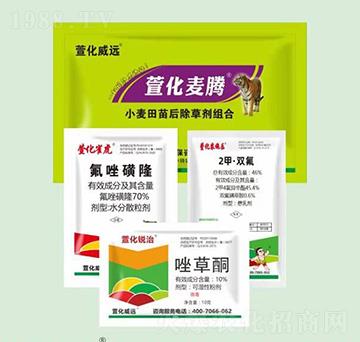 С���������݄��M��-�滯���v-�滯���h