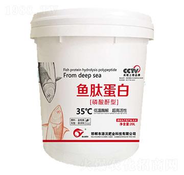 �~(y��)�ĵ���-���|�ʘI(y��)