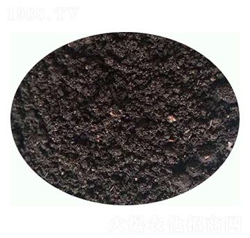 �l(f��)����S�ЙC����-���|�ʘI(y��)