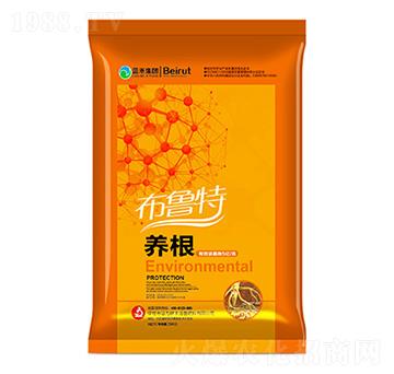 �B(y��ng)������-������-�ǃ|�r�I(y��)