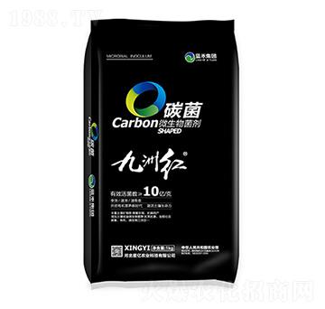 ̼��΢�������-���޼t-�ǃ|�r�I(y��)