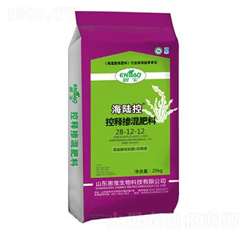 ��ጓ������28-12