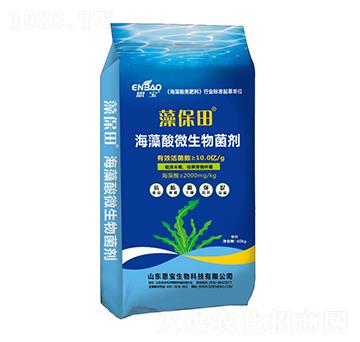 ������΢����������ۄ���-�屣��-����