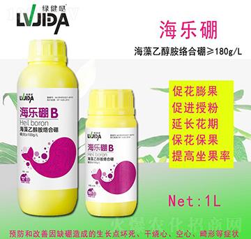 ������-������