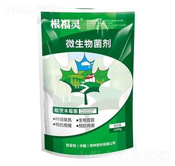 ΢�������-�����`-�����