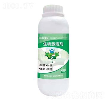 ���Ｄ�-�����