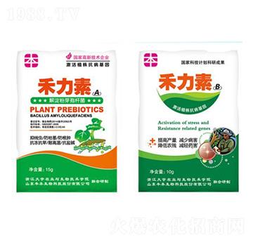 �߲˹���־��x(ch��ng)����-�S