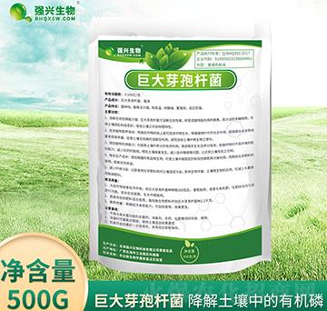 �޴�ѿ�ߗU��-��(qi��ng)�d����